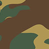 camo1