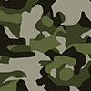 camo2