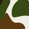 camo3